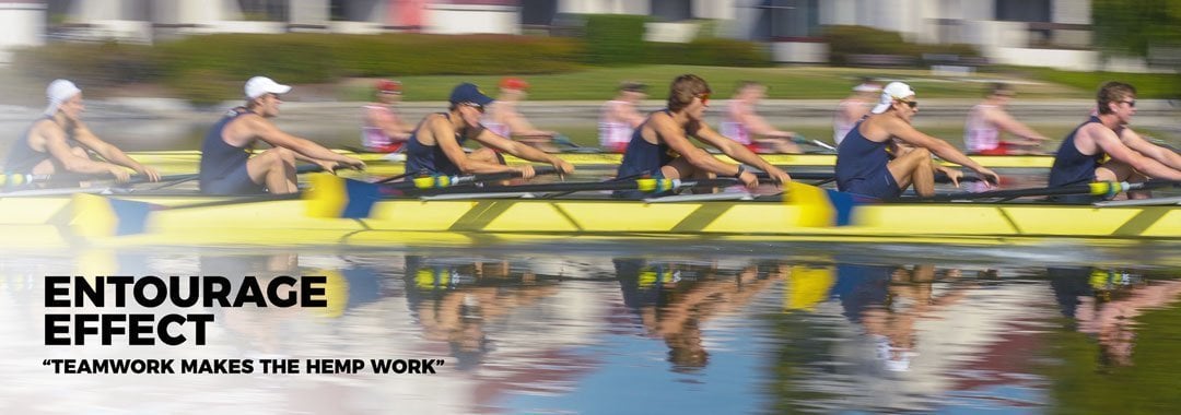 Teamwork with a rowing crew