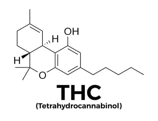 Tetrahydrocannabinol THC molecule
