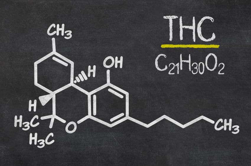 Do CBD Products Contain THC?