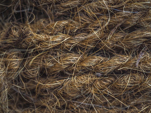 Hemp Fiber