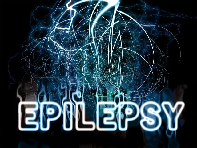 Graphic image that says Epilepsy