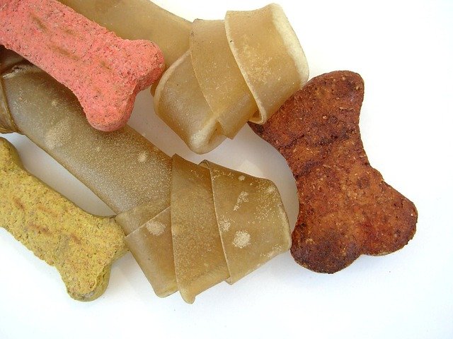 Dog treats and rawhide bone